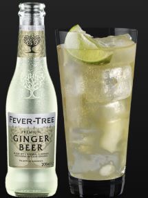 Fever Tree Premium Ginger Beer 200ml